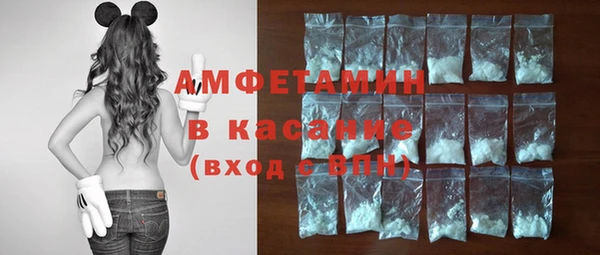 ГАЛЛЮЦИНОГЕННЫЕ ГРИБЫ Тайга