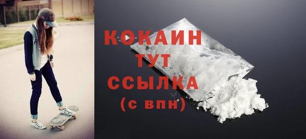 ГАЛЛЮЦИНОГЕННЫЕ ГРИБЫ Тайга