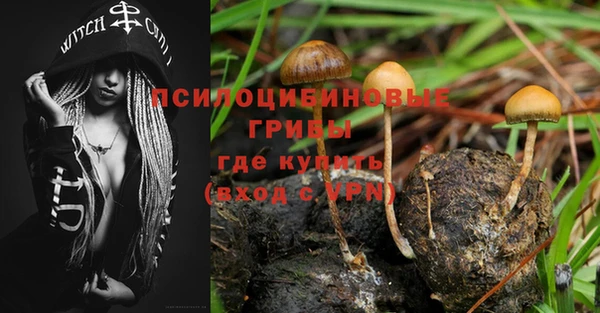 MESCALINE Горно-Алтайск