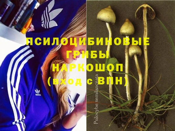 MESCALINE Горно-Алтайск