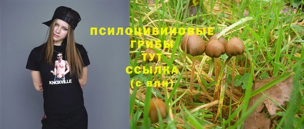 MESCALINE Горно-Алтайск