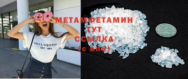 ГАЛЛЮЦИНОГЕННЫЕ ГРИБЫ Тайга