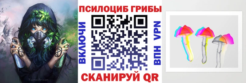 Купить закладки  Пошехонье  Псилоцибиновые грибы Magic Shrooms 